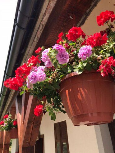 gazdovsky dvor u kartacov