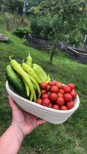 gazdovsky dvor u kartacov