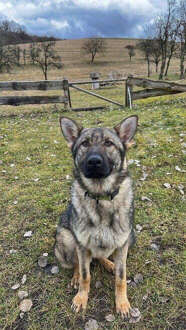 gazdovsky dvor u kartacov