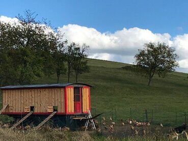 gazdovsky dvor u kartacov