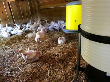 gazdovsky dvor u kartacov