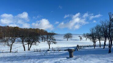 gazdovsky dvor u kartacov