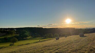 gazdovsky dvor u kartacov