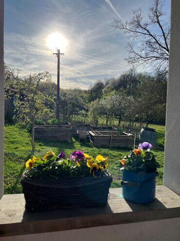 gazdovsky dvor u kartacov