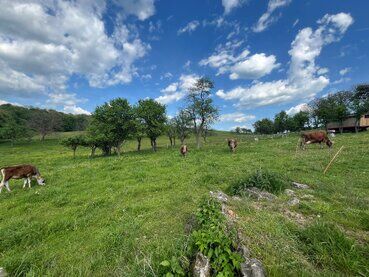 gazdovsky dvor u kartacov