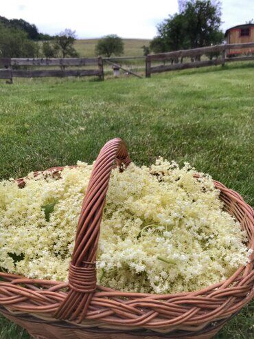 gazdovsky dvor u kartacov