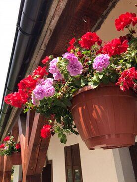 gazdovsky dvor u kartacov