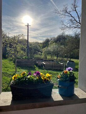 gazdovsky dvor u kartacov