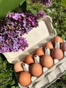 gazdovsky dvor u kartacov