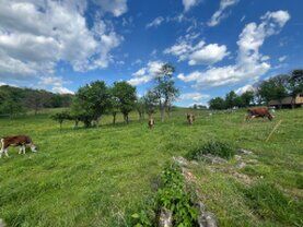 gazdovsky dvor u kartacov