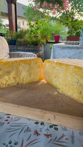 gazdovsky dvor u kartacov